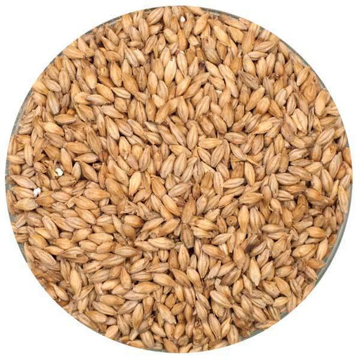 Dingemans Pilsner Malt