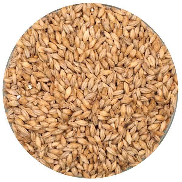 Dingemans Pilsner Malt