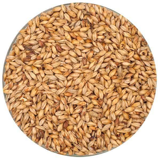 Dingemans Biscuit® Malt