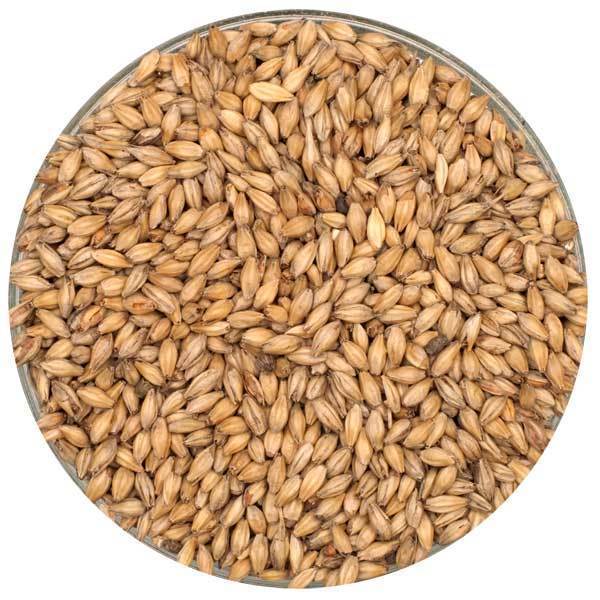Briess Organic Bonlander Munich Malt