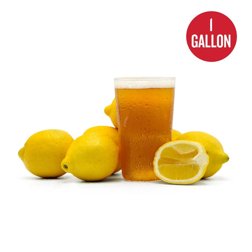 Summer Squeeze Lemon Shandy One Gallon Beer Recipe Kit