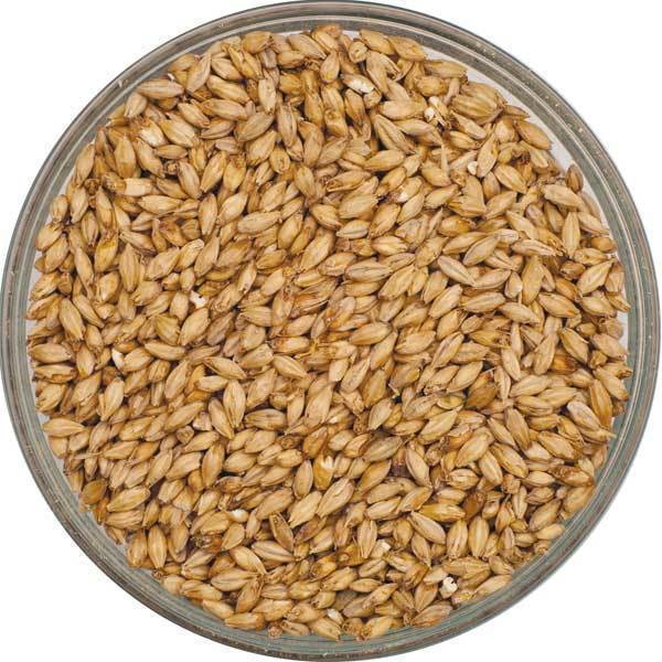 Canada Malting Pale Ale Malt