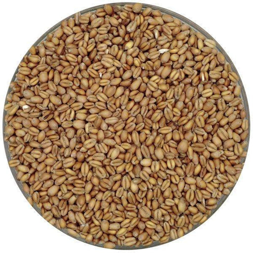 Weyermann® Oak-Smoked Pale Wheat Malt
