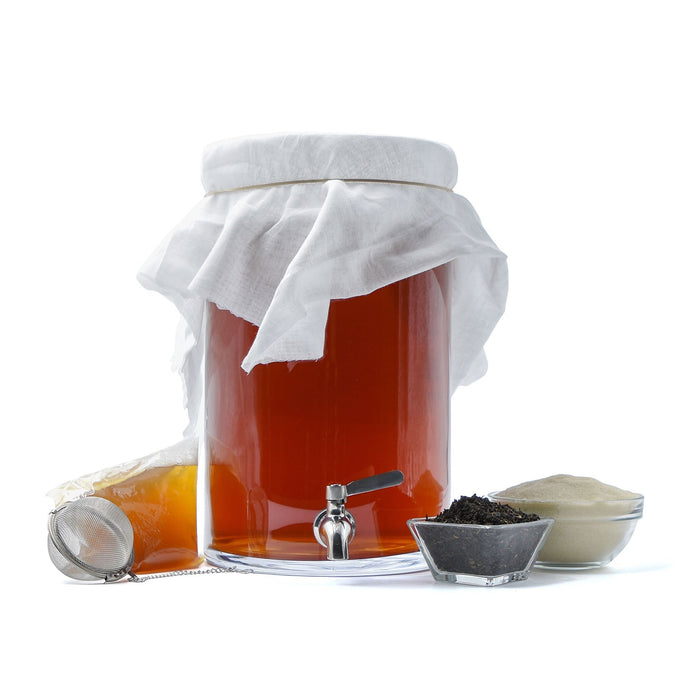 Kombucha Starter Kit with Ingredients