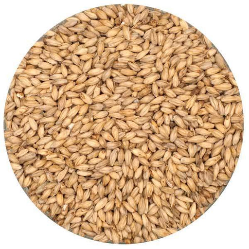 Rahr 6-Row Malt