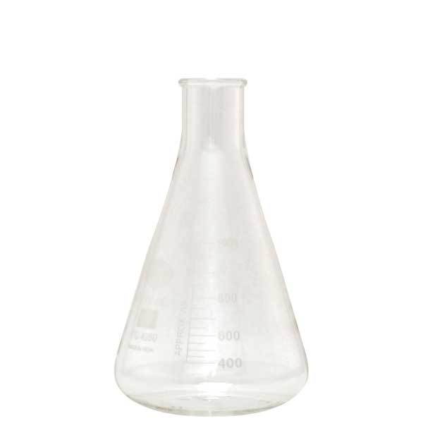 1000 mL Erlenmeyer Flask