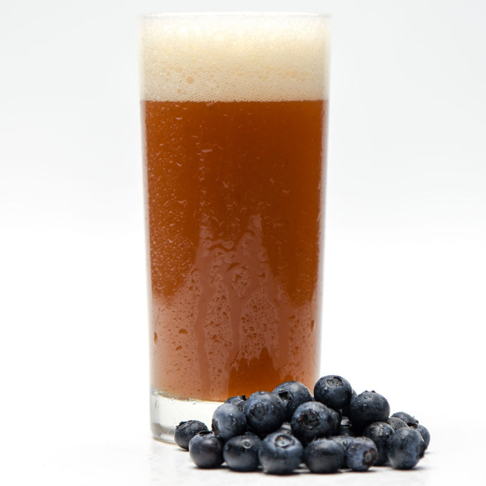 Funktional Fruit Sour All-Grain Beer Recipe Kit Blueberry