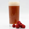 Funktional Fruit Sour Extract Beer Recipe Kit Raspberry