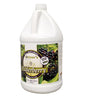 Vintner's Best® Elderberry Fruit Wine Base 128 oz.