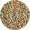 Mecca Grade Pelton (Pilsner-style) Malt