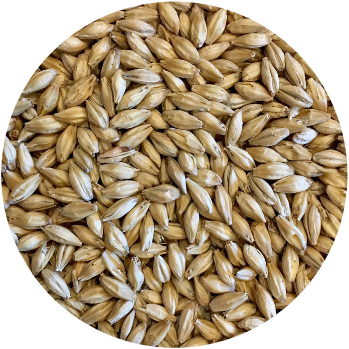 Mecca Grade Pelton (Pilsner-style) Malt