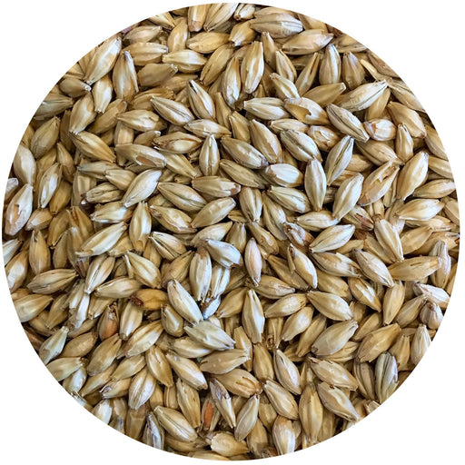 Mecca Grade Vanora (Vienna-style) Malt