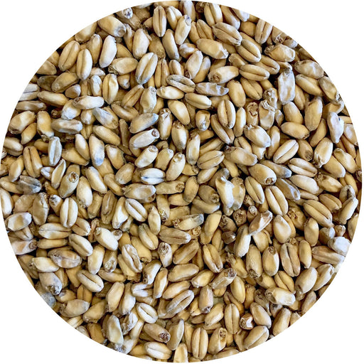 Mecca Grade Shaniko (White Winter Wheat) Malt