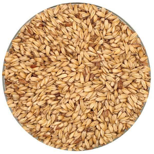Briess Caramel 10L Malt