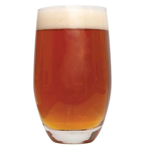 Smashing Pumpkin Ale Extract Kit w/ Specialty Grains