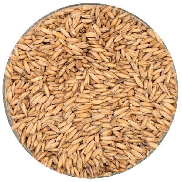 Fawcett Oat Malt
