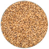 German Pilsner Malt