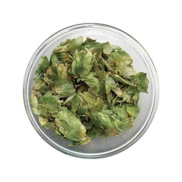 Citra® Leaf Hops 1 oz.