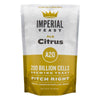 Imperial Yeast A20 Citrus