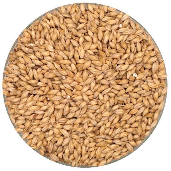 Rahr Premium Pilsner Malt