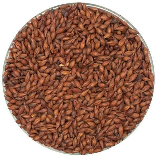 Briess Light Roasted Barley