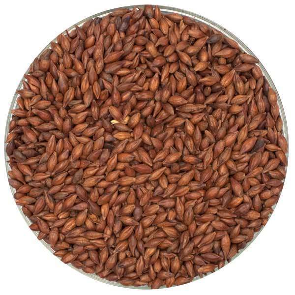 Briess Light Roasted Barley