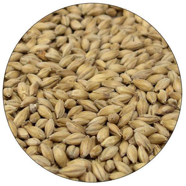English Maris Otter Malt