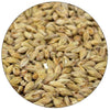 Gambrinus Honey Malt