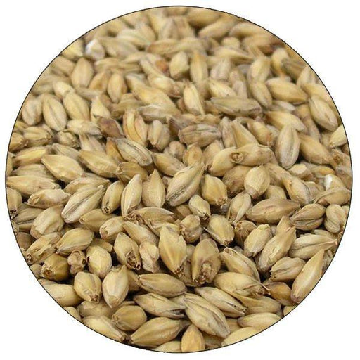 Briess 2-Row Brewers Malt