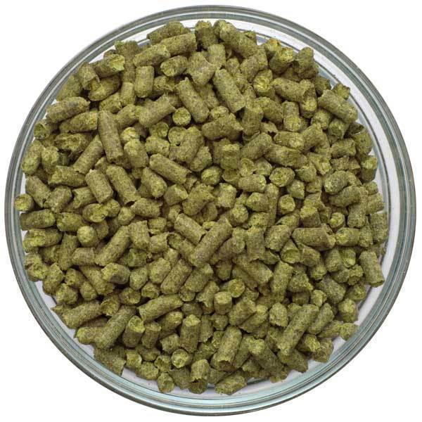 UK Kent Goldings Hop Pellets