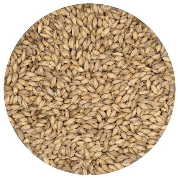 Weyermann® Floor Malted Bohemian Dark Malt