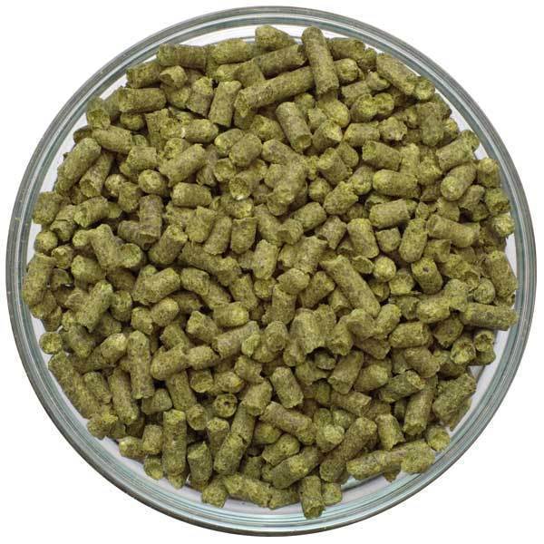 Willamette Hop Pellets